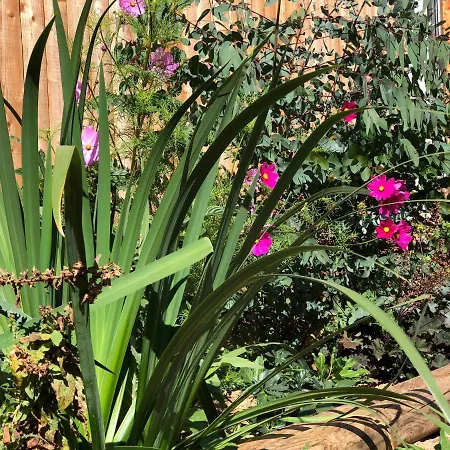 Rejaillir Сент-Ур