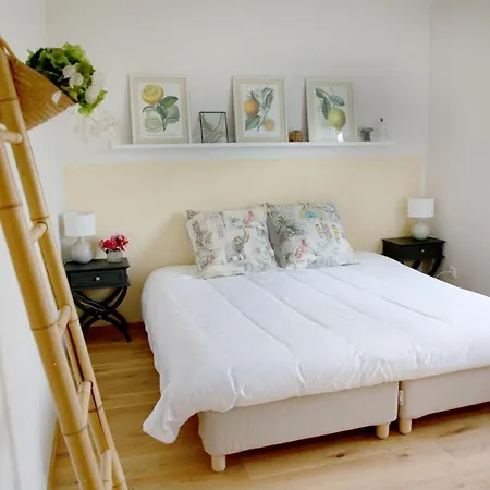 ベッド・アンド・ブレックファスト Rejaillir 3*