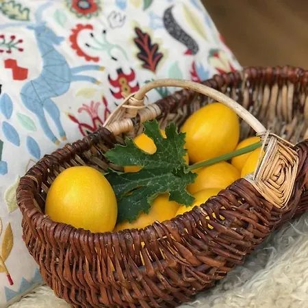 Rejaillir サン・トゥルス