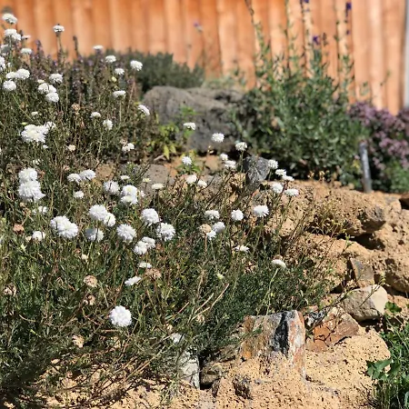 Bed and Breakfast Rejaillir Saint-Ours (Puy-de-Dome)