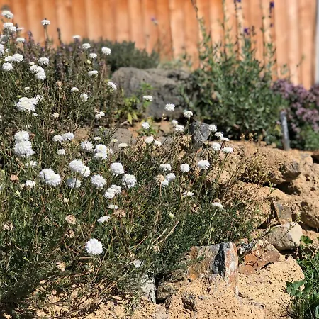 ベッド・アンド・ブレックファスト Rejaillir サン・トゥルス