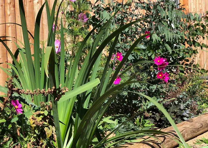 Rejaillir Saint-Ours (Puy-de-Dome)
