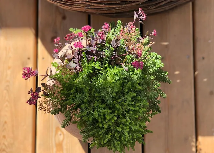 Rejaillir Frühstückspension